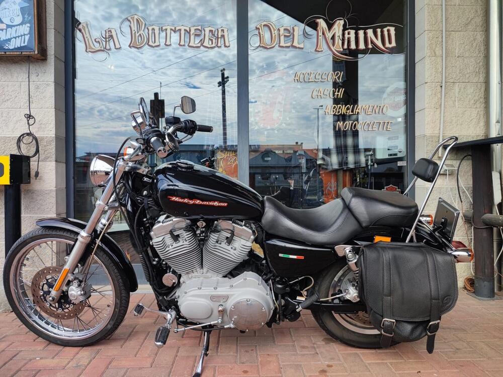 Harley-Davidson 883 Custom (2006 - 07) - XL 883C (5)