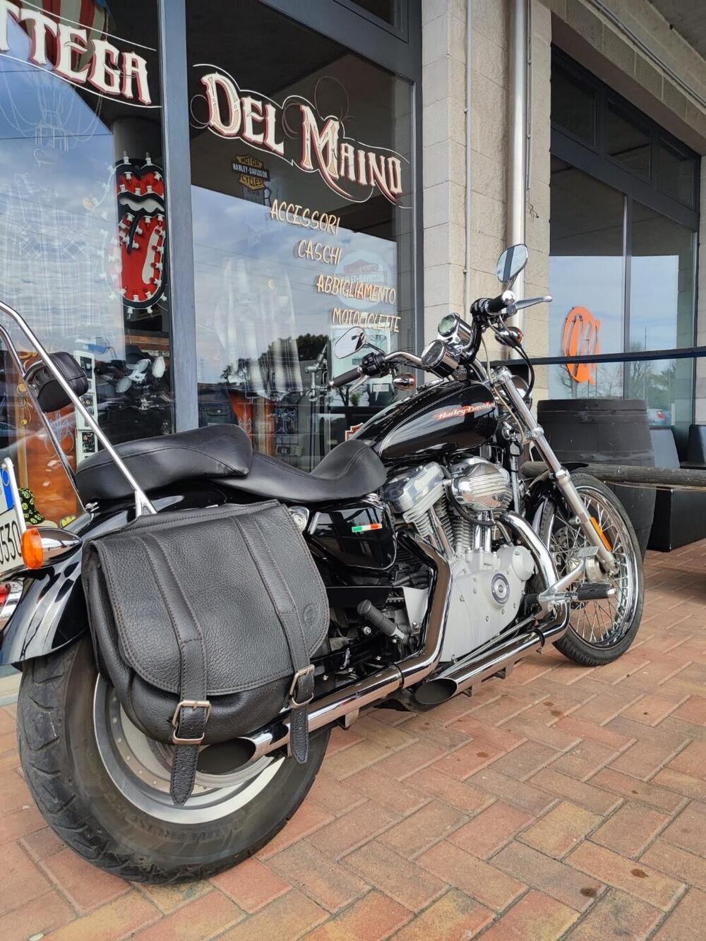 Harley-Davidson 883 Custom (2006 - 07) - XL 883C (6)