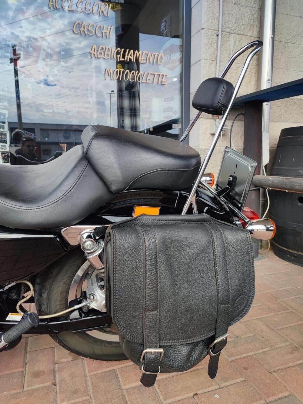 Harley-Davidson 883 Custom (2006 - 07) - XL 883C (9)