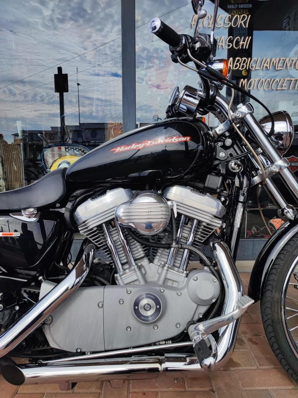 Harley-Davidson 883 Custom (2006 - 07) - XL 883C (10)