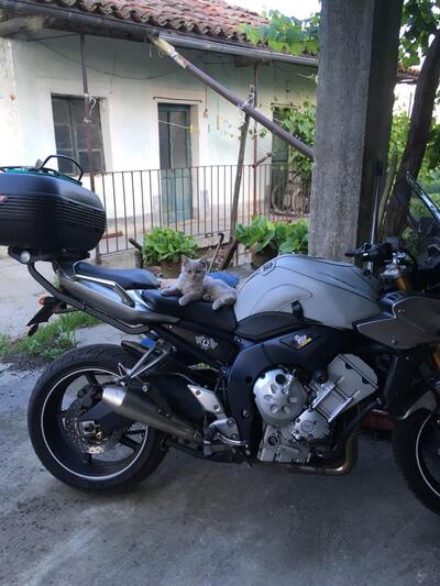 Yamaha FZ1 Fazer (2006 - 16) usata