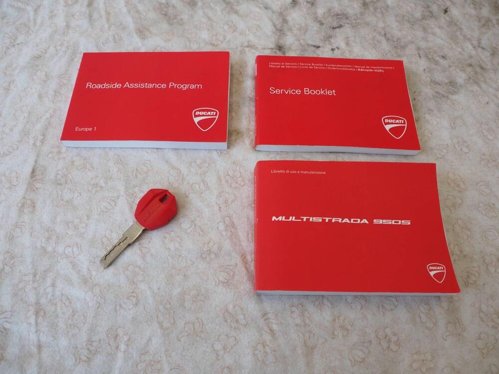 Ducati Multistrada 950 S (2019 - 20) (15)