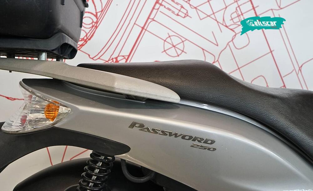 Malaguti Password 250 CK (4)