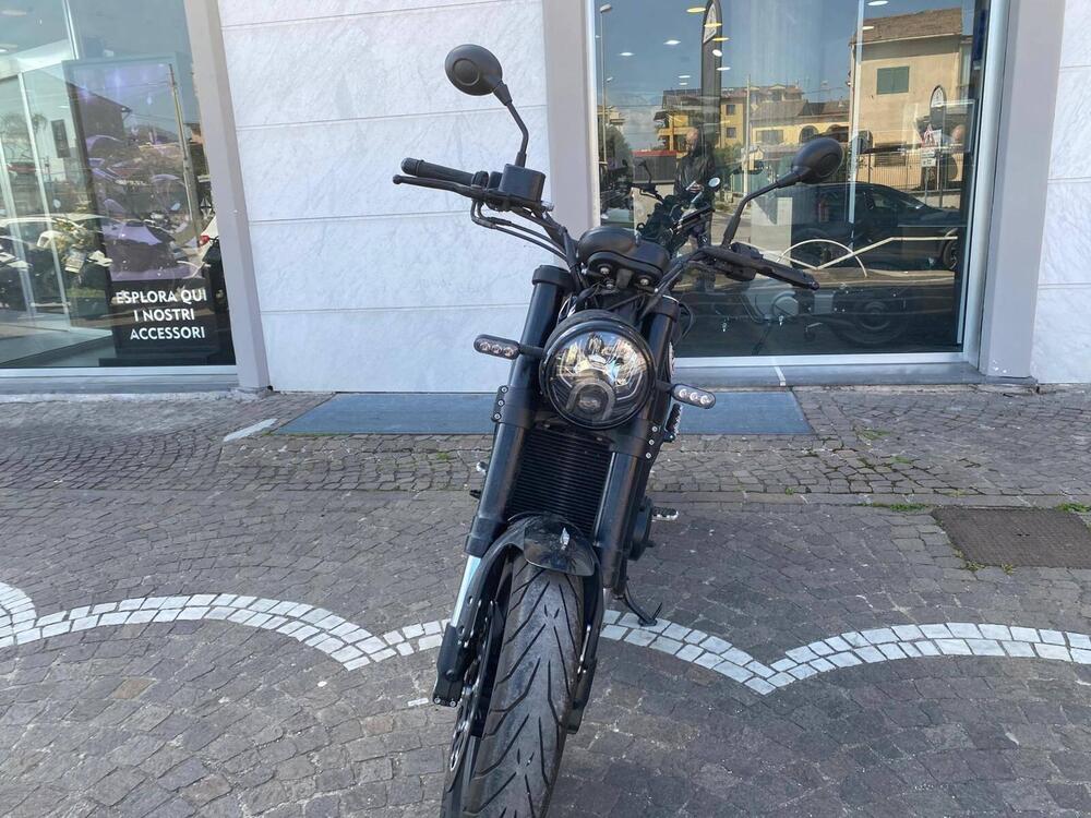 Benelli Leoncino 500 (2021 - 25) (5)