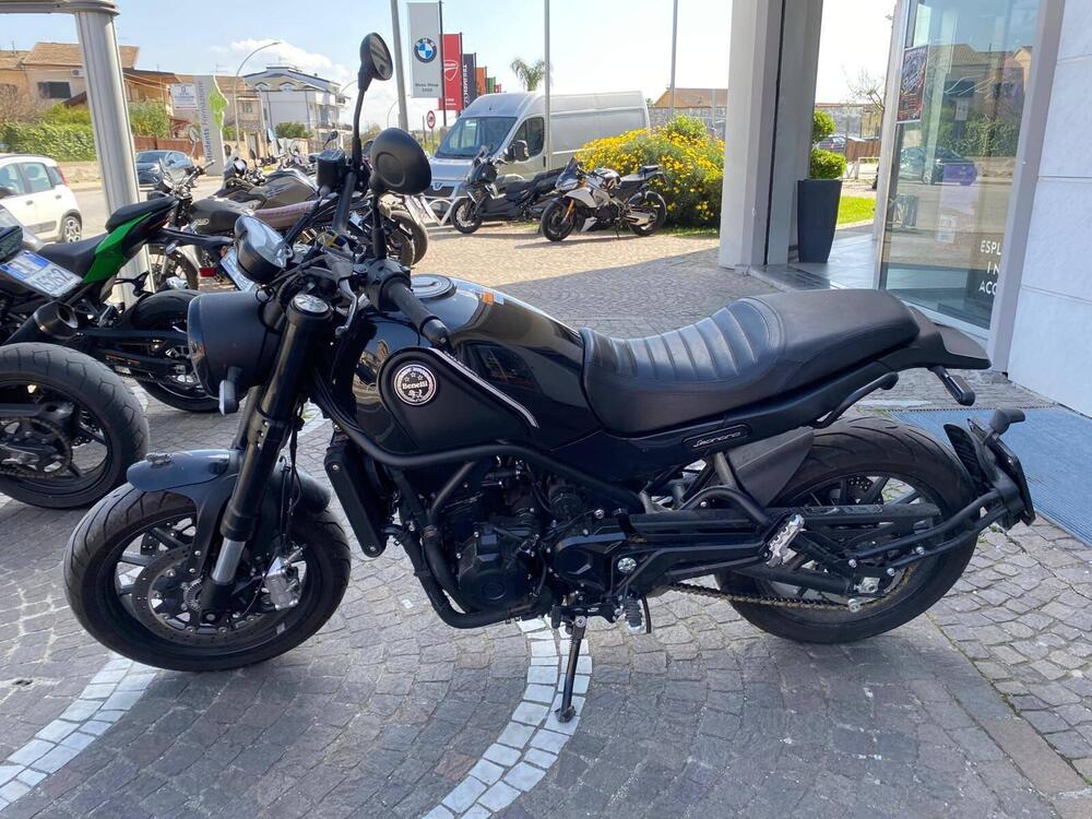 Benelli Leoncino 500 (2021 - 25) (2)