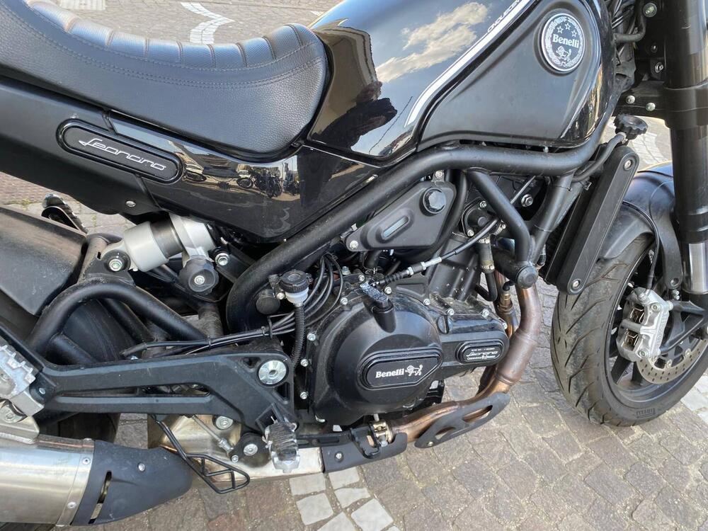 Benelli Leoncino 500 (2021 - 25) (7)