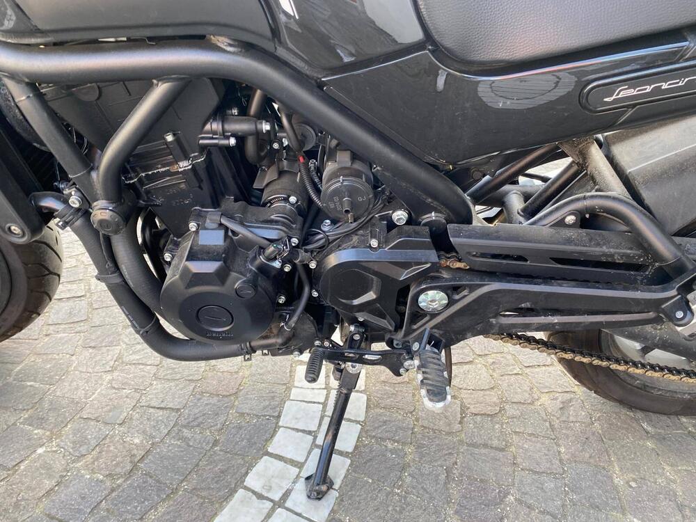 Benelli Leoncino 500 (2021 - 25) (8)