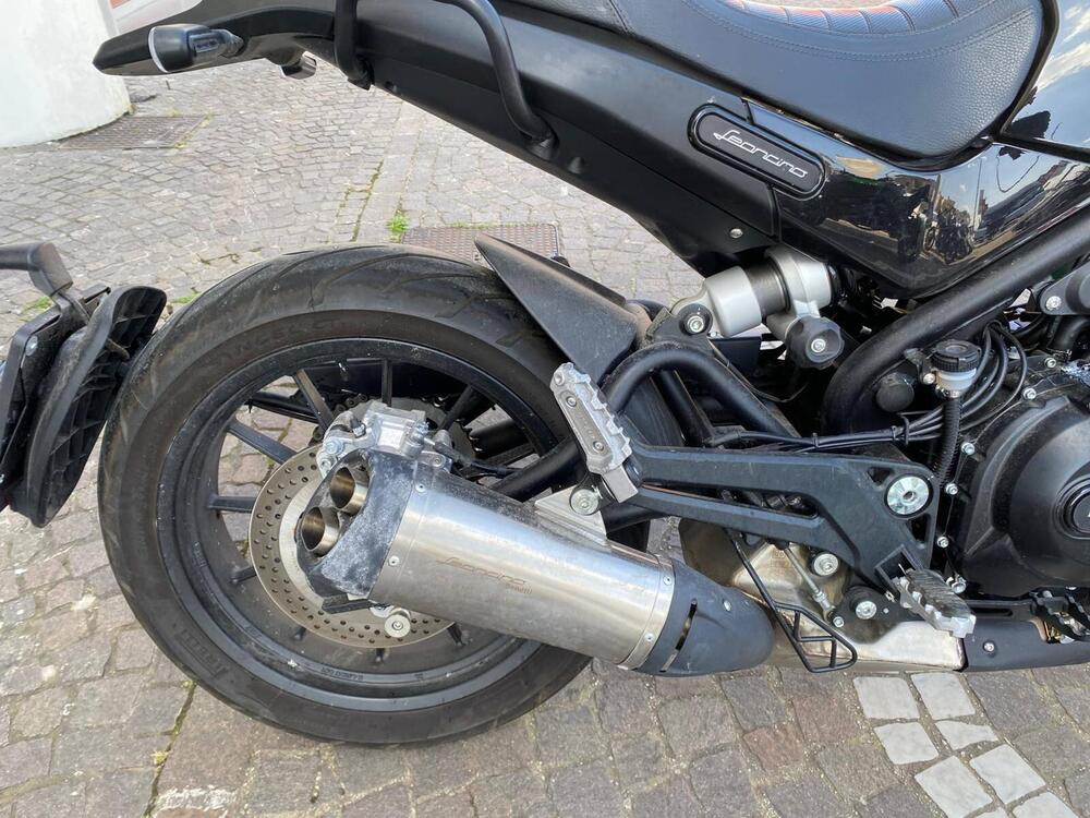 Benelli Leoncino 500 (2021 - 25) (9)