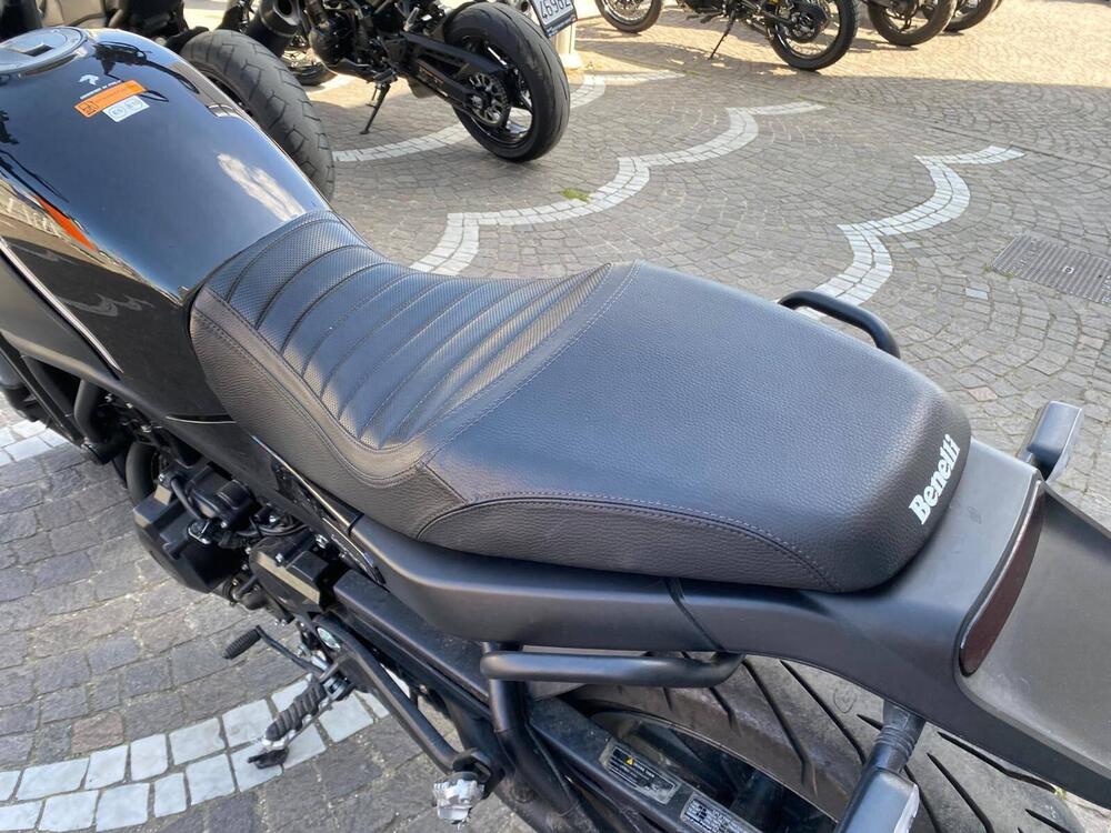 Benelli Leoncino 500 (2021 - 25) (10)