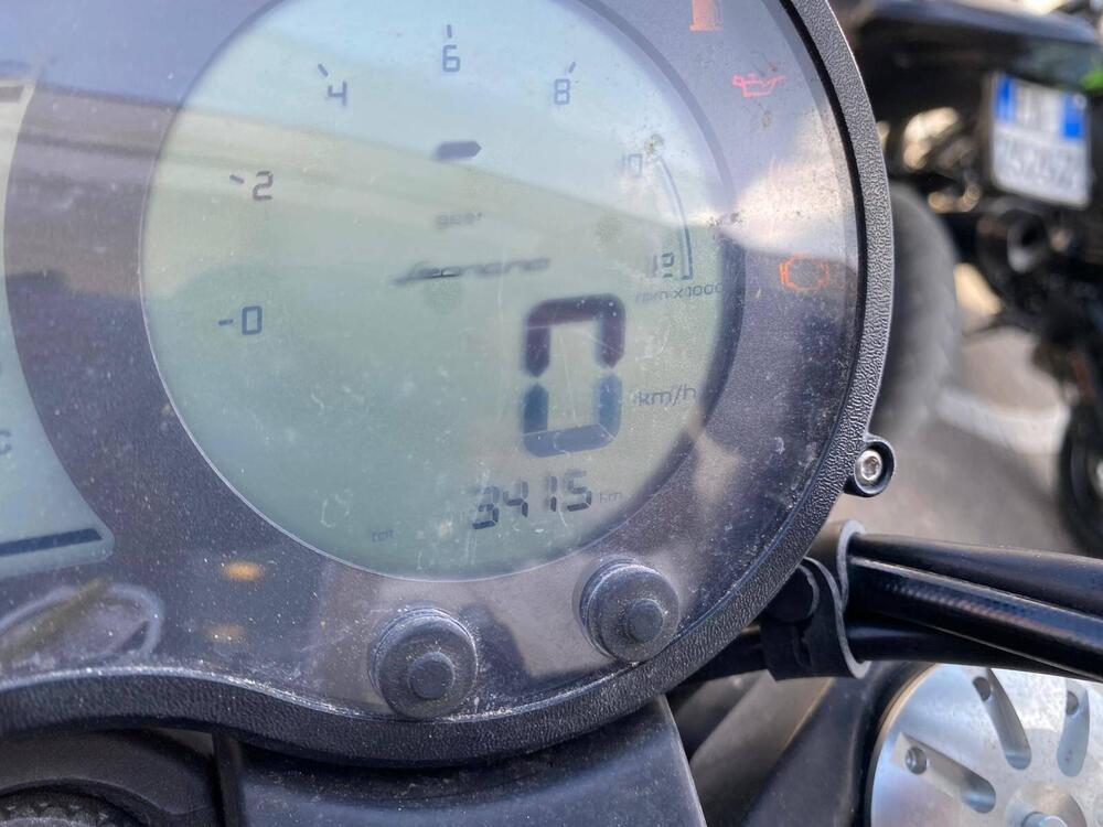 Benelli Leoncino 500 (2021 - 25) (3)