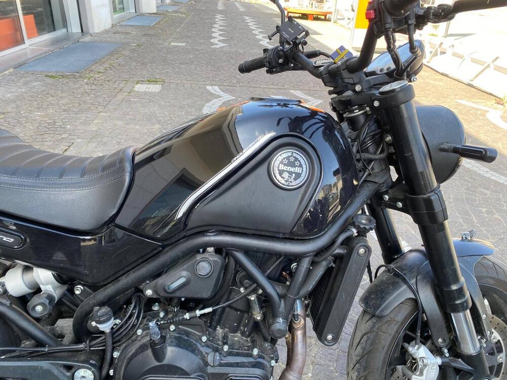 Benelli Leoncino 500 (2021 - 25) (6)