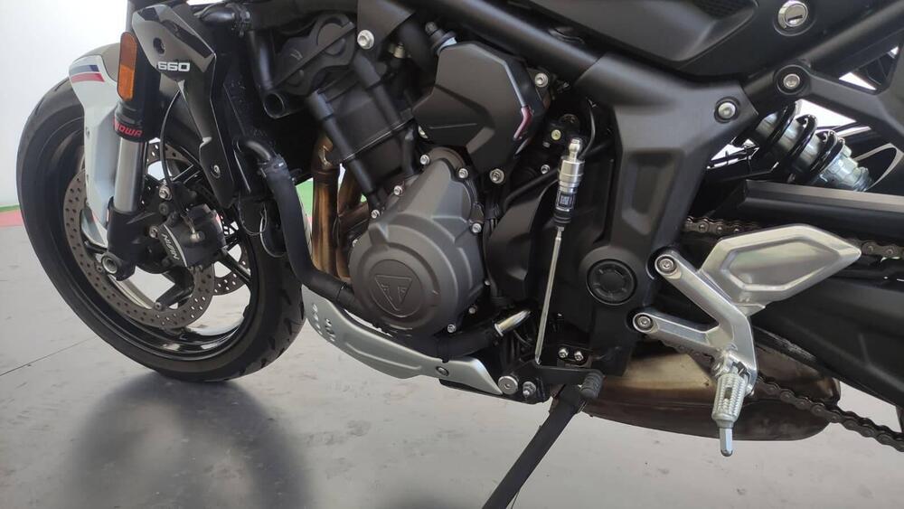 Triumph Trident 660 Triple Tribute Edition (2024) (7)