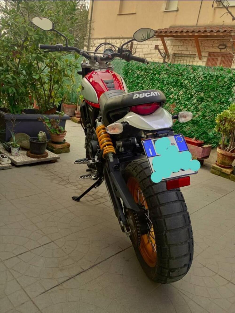 Ducati Scrambler 800 Desert Sled (2017 - 20) (3)