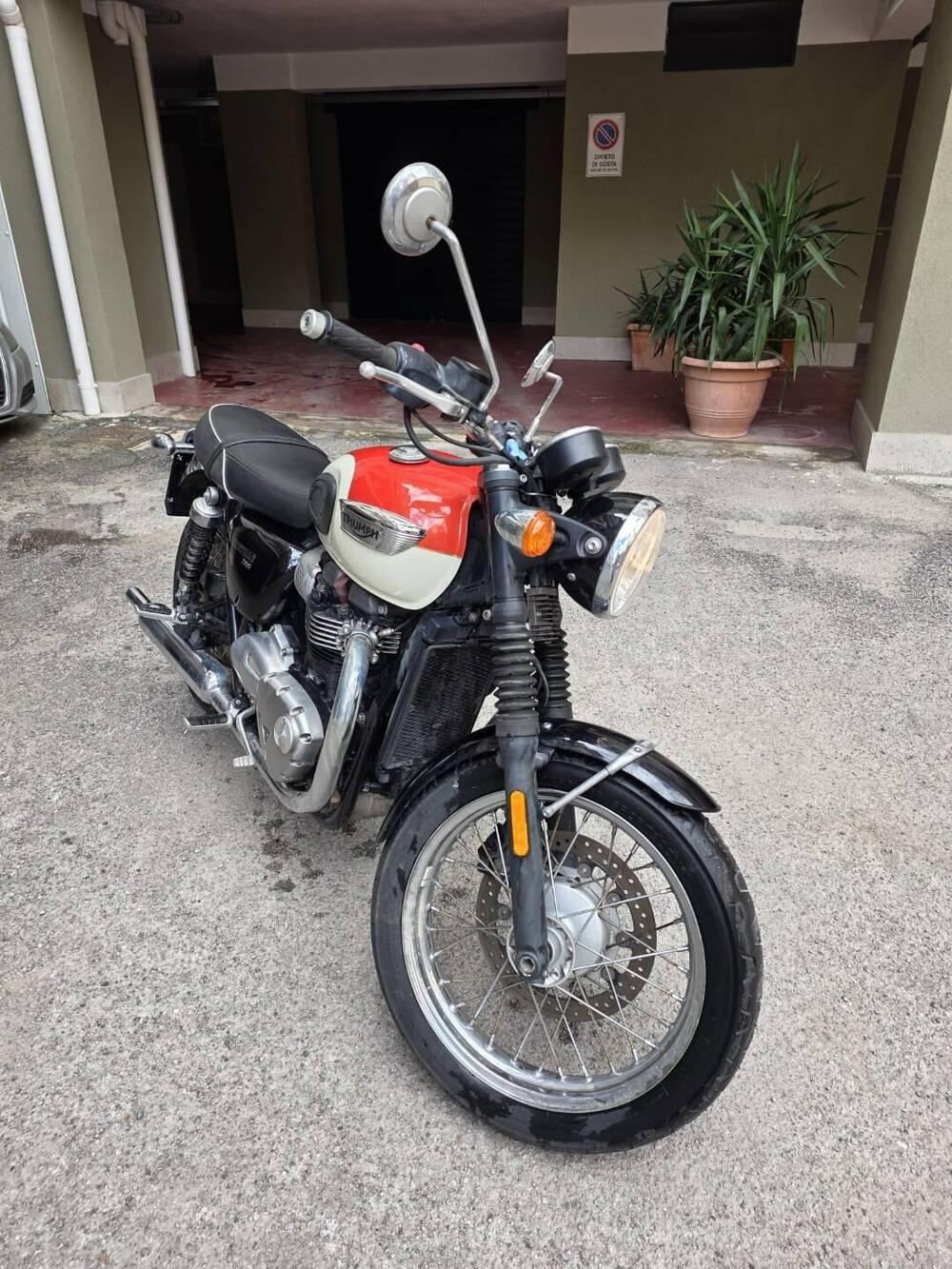 Triumph Bonneville T100 (2017 - 20) (2)