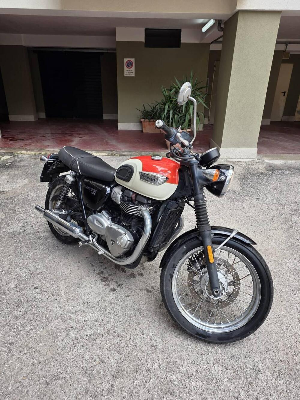 Triumph Bonneville T100 (2017 - 20) (3)