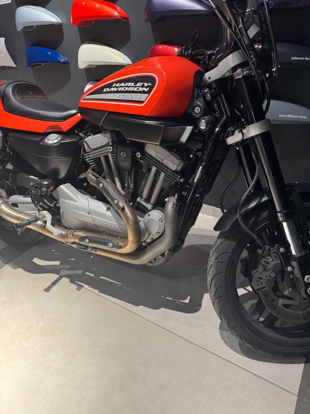 Harley-Davidson 1200 XR (2009 - 12) (5)