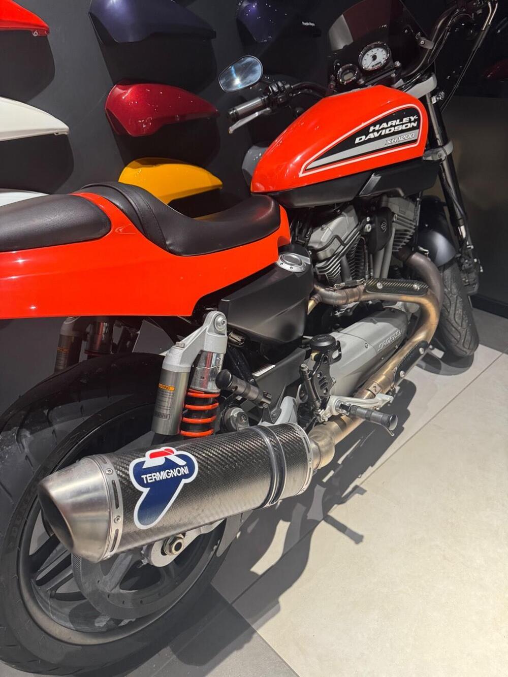 Harley-Davidson 1200 XR (2009 - 12) (7)