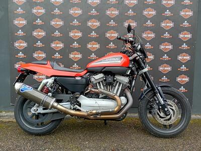 Harley-Davidson 1200 XR (2009 - 12) usata