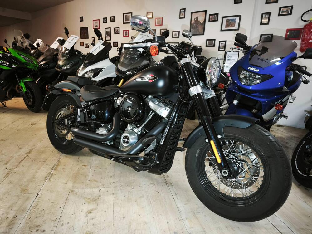 Harley-Davidson 107 Slim (2018 - 20) - FLSL (2)