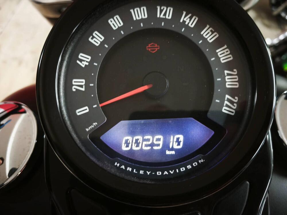 Harley-Davidson 107 Slim (2018 - 20) - FLSL (5)