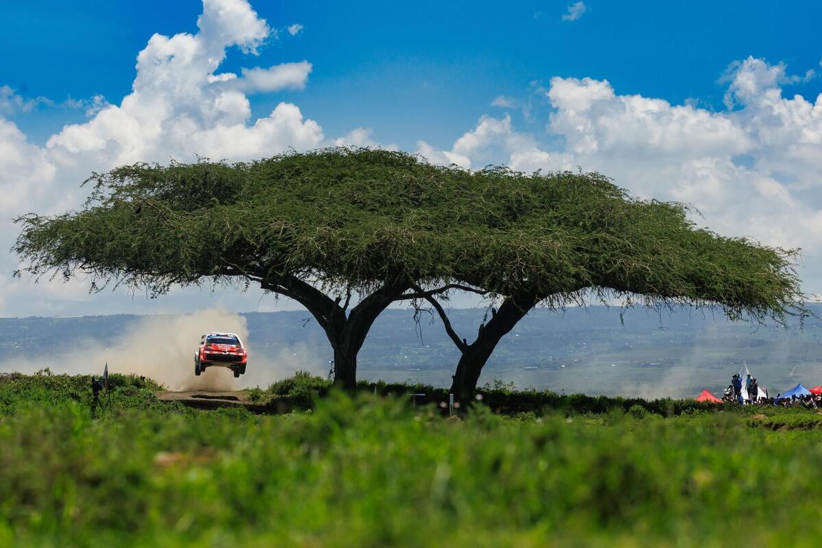 WRC26 #03 Kenya. D2. La rimonta bestiale di Sébastien Ogier [VIDEO]