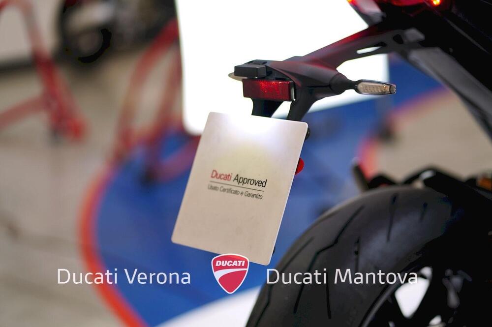 Ducati Monster 937 SP (2023 - 25) (12)