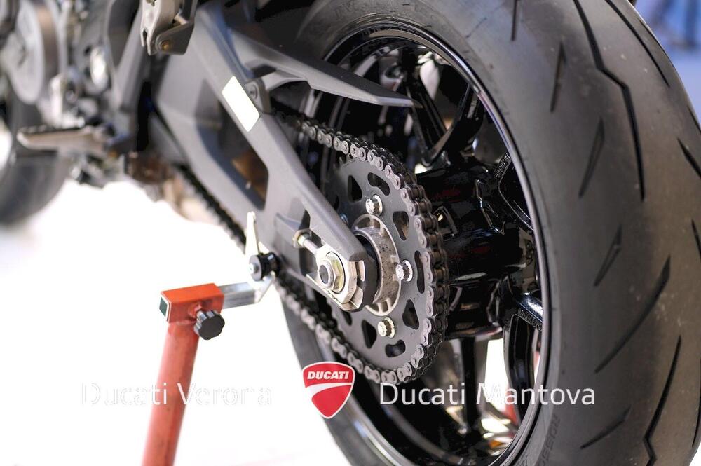 Ducati Monster 937 SP (2023 - 25) (15)