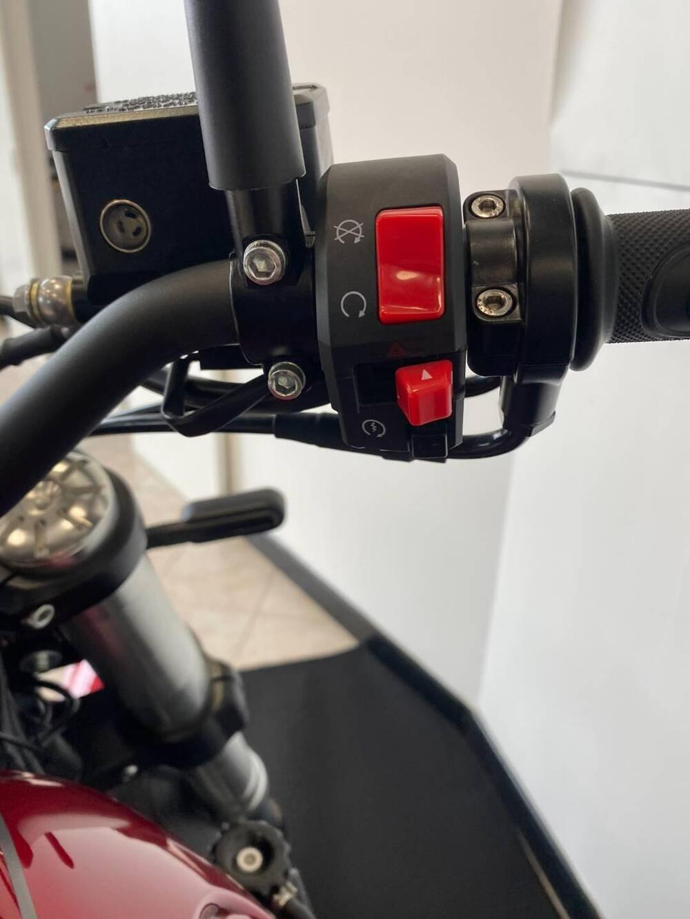 Benelli Leoncino 500 Trail (2021 - 26) (9)