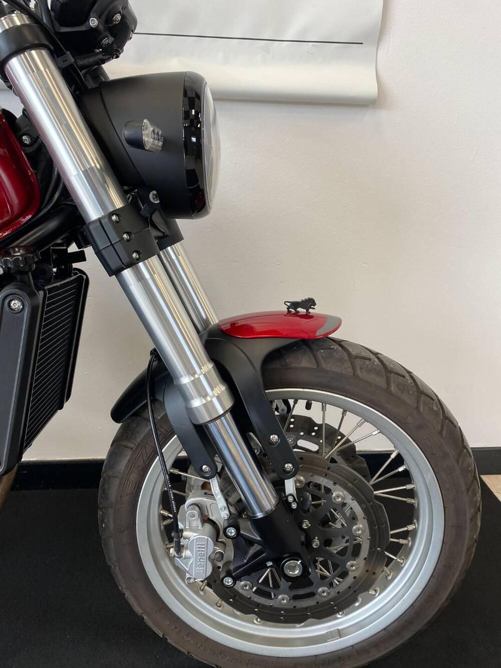 Benelli Leoncino 500 Trail (2021 - 26) (15)