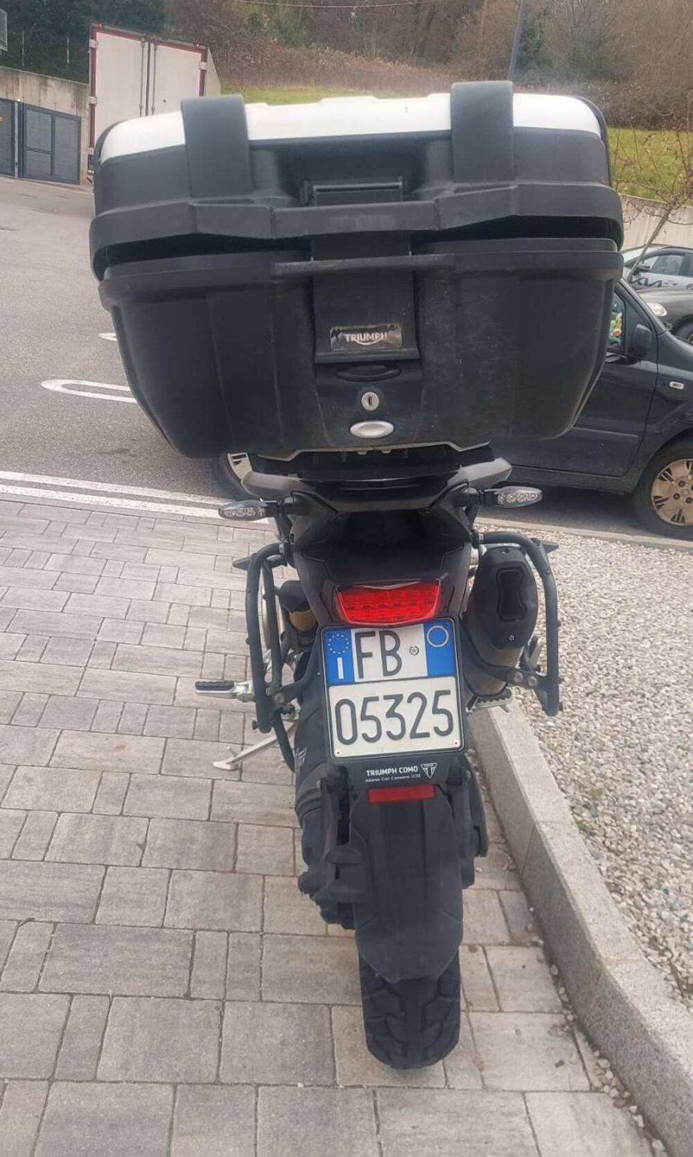 Triumph Tiger 1200 Rally Pro (2022 - 23) (3)