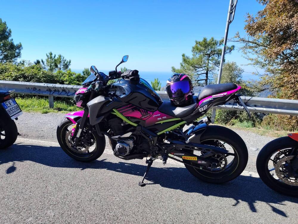 Kawasaki Z 900 Performance (2019) (11)