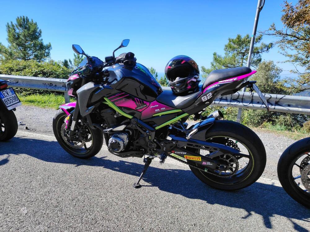 Kawasaki Z 900 Performance (2019) (12)
