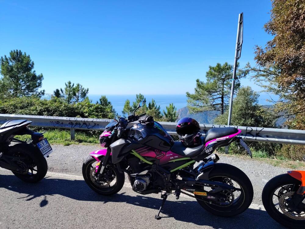 Kawasaki Z 900 Performance (2019) (13)