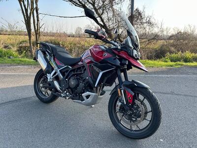 Triumph Tiger 900 GT Pro (2024 - 26) usata