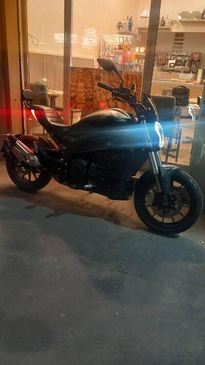 Benelli 502 C (2021 - 25) usata