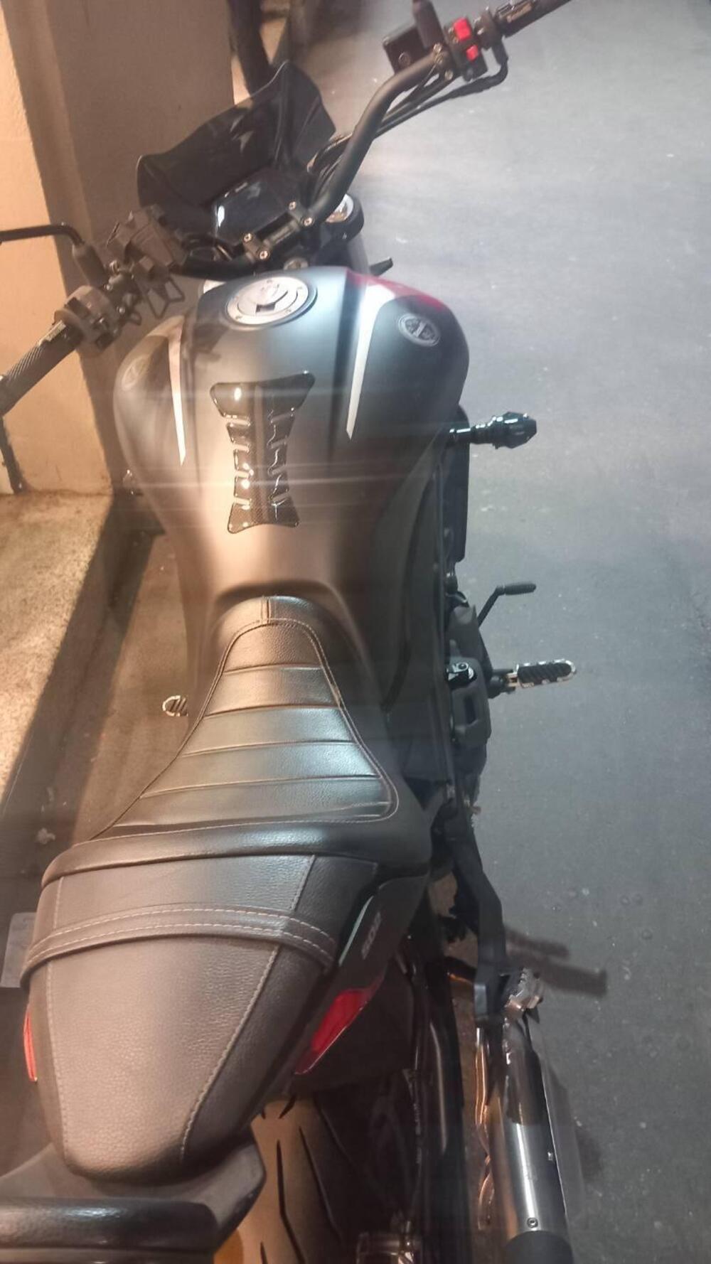 Benelli 502 C (2021 - 25) (4)