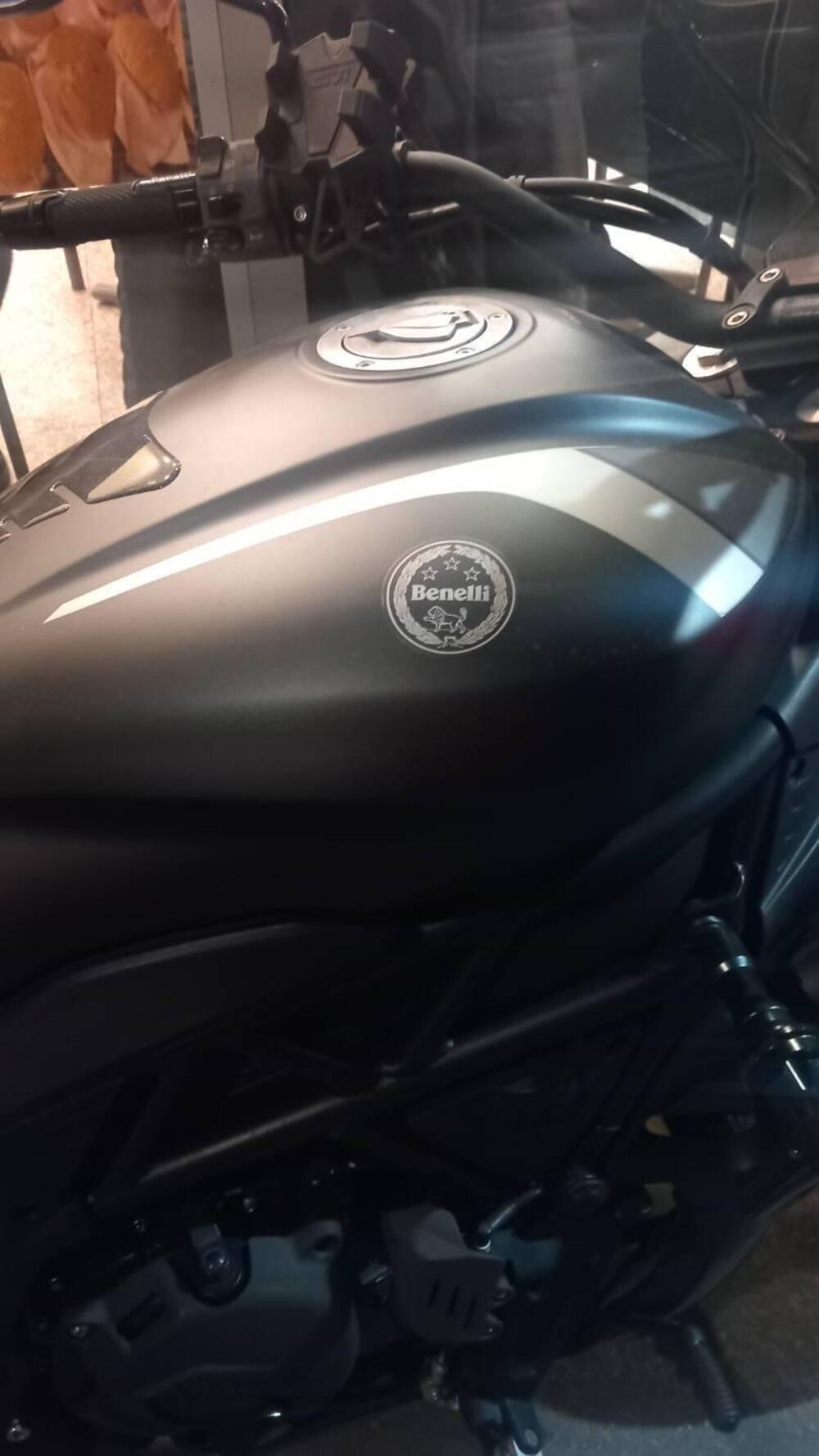 Benelli 502 C (2021 - 25) (6)