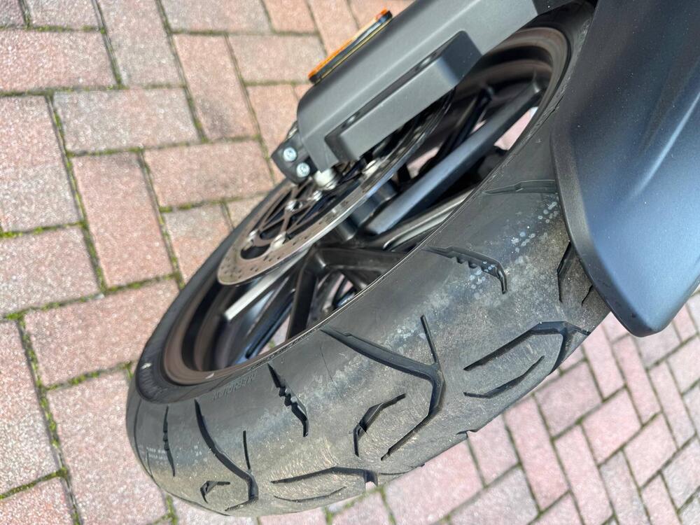 Triumph Tiger 1200 GT Explorer (2024 - 26) (8)