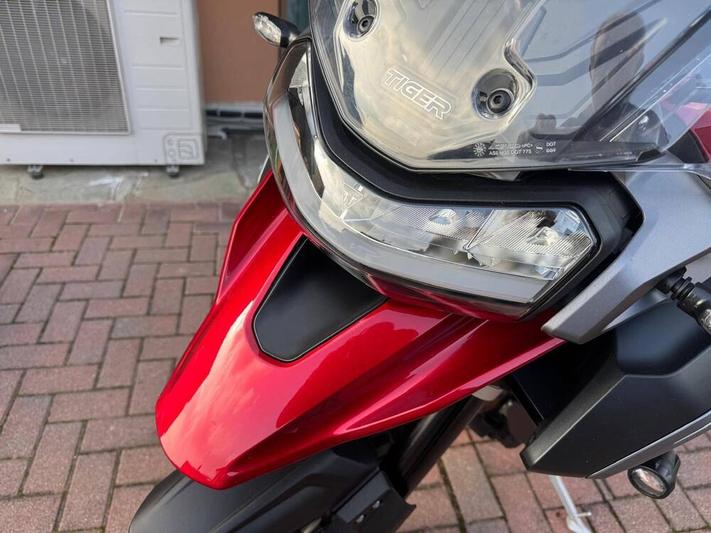 Triumph Tiger 1200 GT Explorer (2024 - 26) (9)