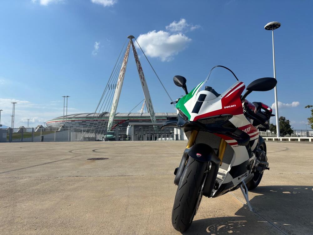 Ducati Panigale V4 Tricolore (2025 - 26) (2)