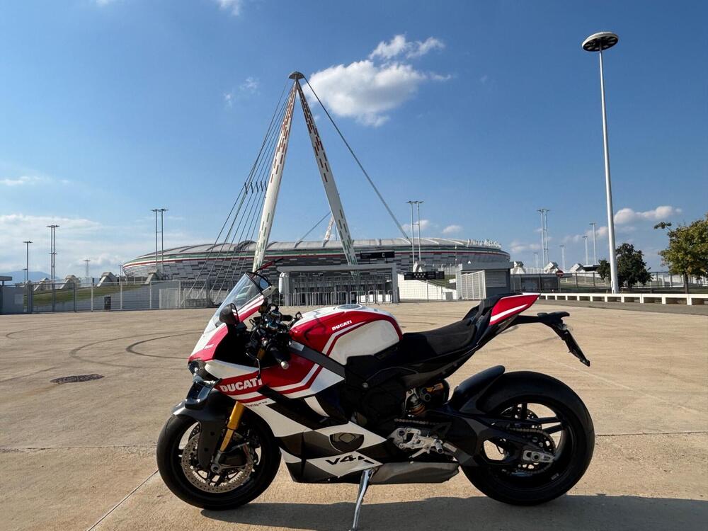 Ducati Panigale V4 Tricolore (2025 - 26) (6)