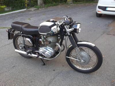 MV Agusta 250 bicilindrica iscritta ASI d'epoca