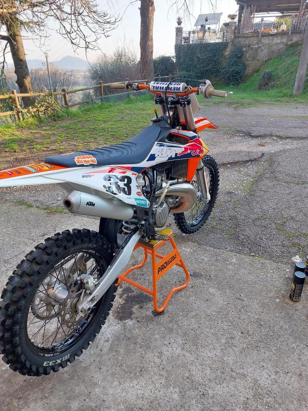 KTM 250 SX (2019) (4)