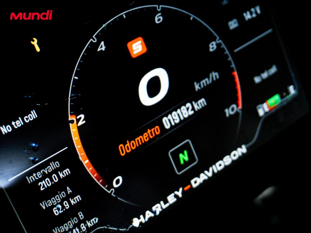 Harley-Davidson Pan America 1250 Special (2020 - 25) (10)