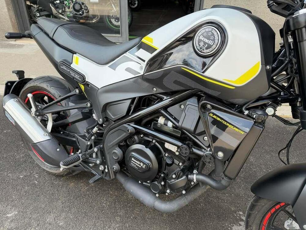 Benelli Leoncino 250 (2019 - 20) (3)