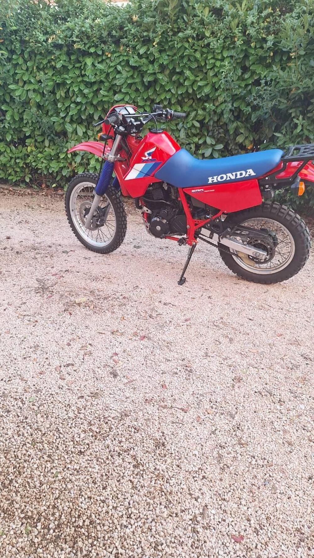 Honda XL600 RM  (4)