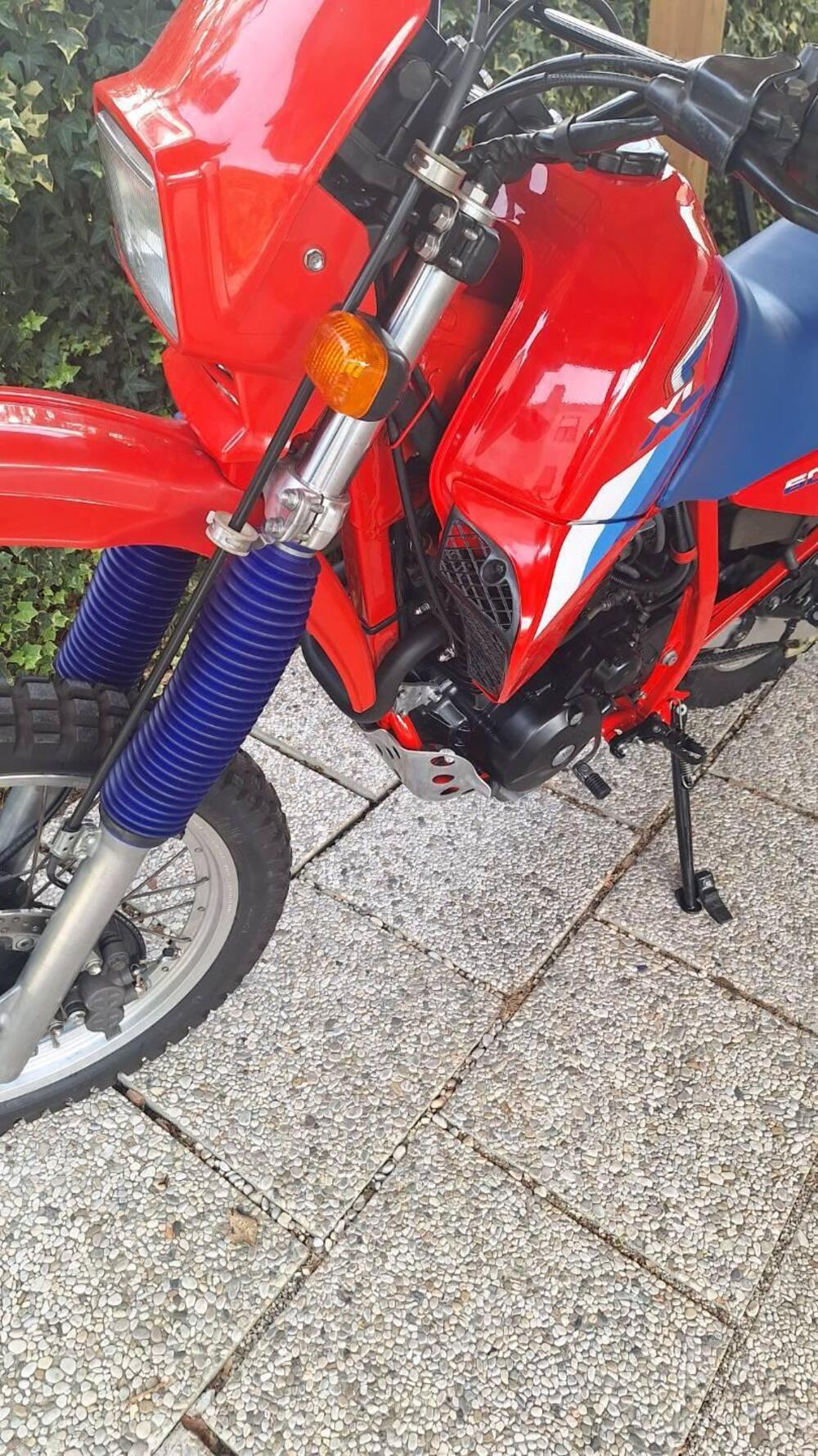 Honda XL600 RM  (5)