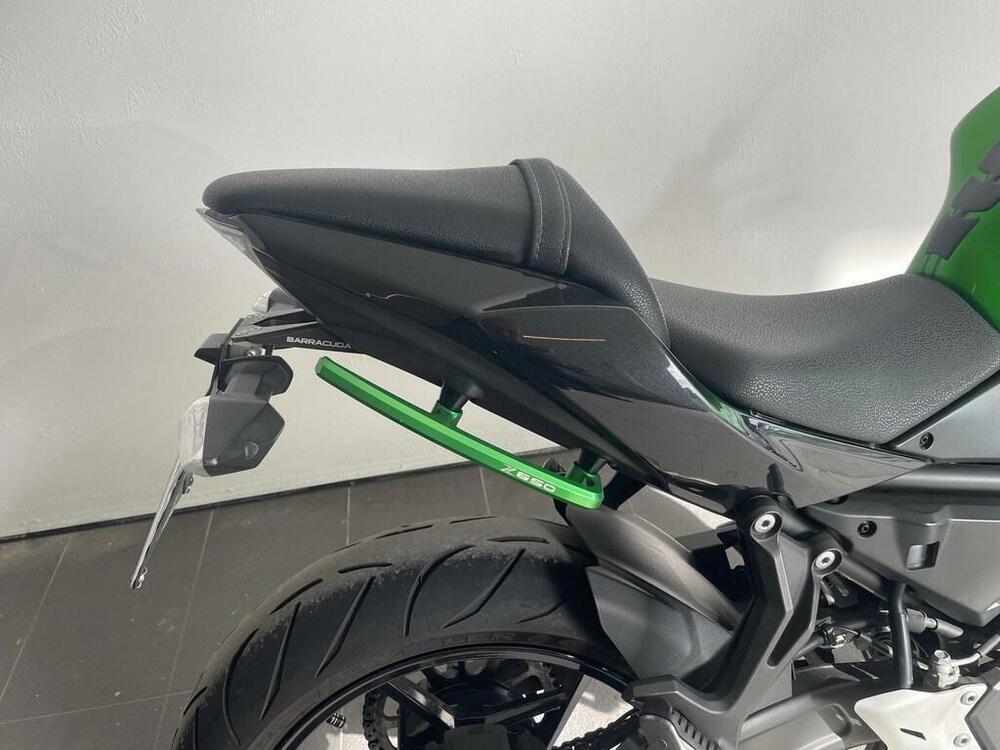 Kawasaki Z 650 (2020) (5)