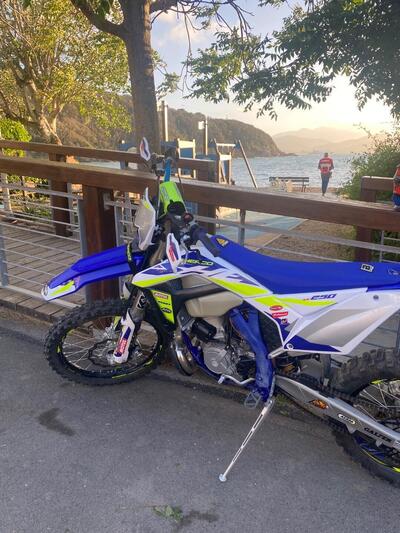 Sherco 250 SE Factory (2020) usata