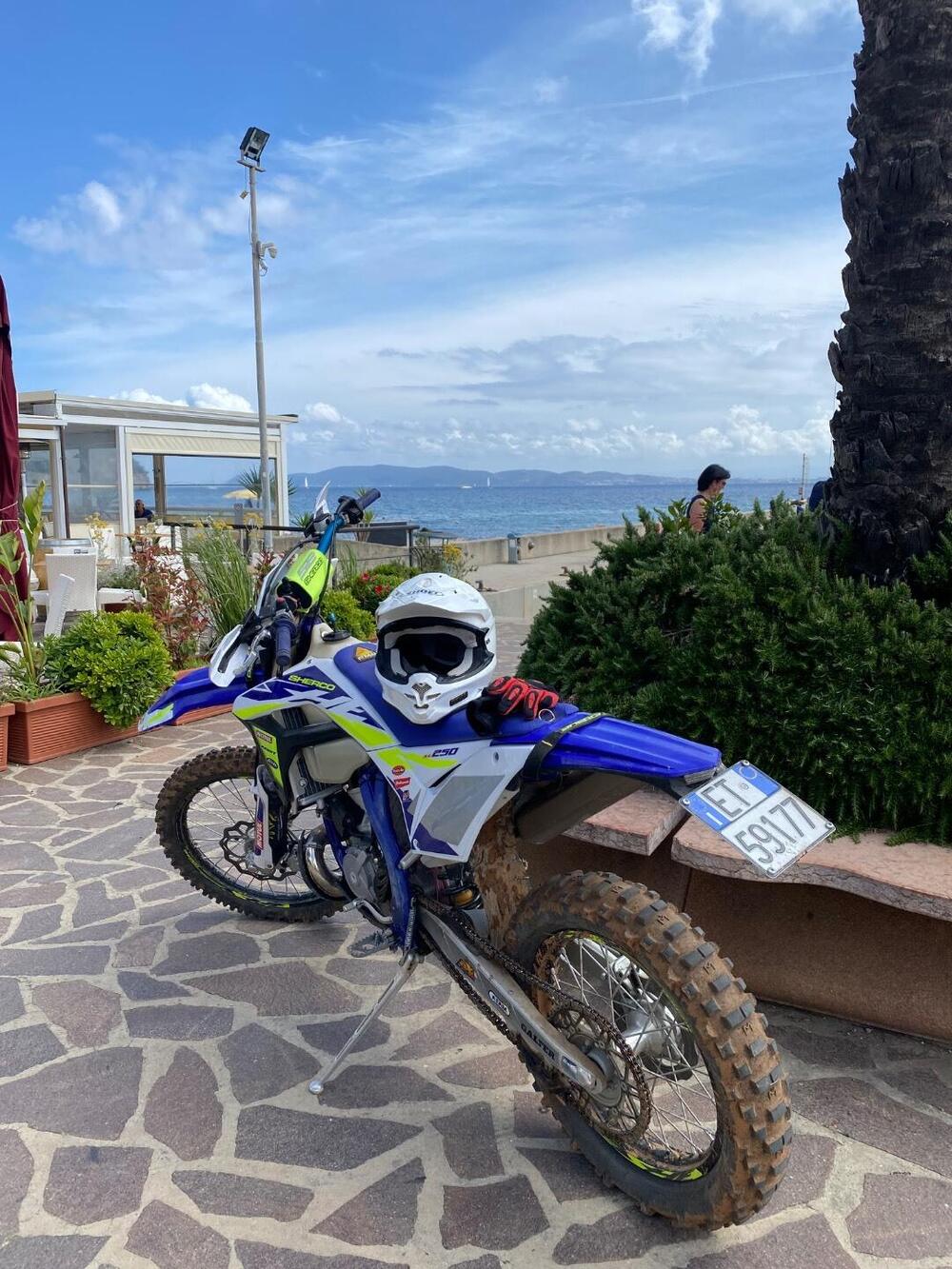 Sherco 250 SE Factory (2020) (4)